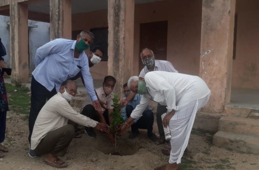  सेवा भारती समिति के सदस्यों ने किया सरकारी विद्यालयों में पौधरोपण